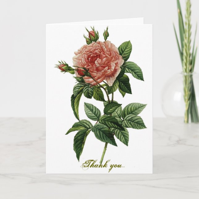 Beautiful Rose Thank You Card (Front)