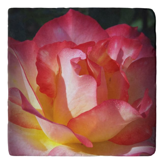 Beautiful Rose Trivet (Front)