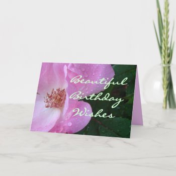 Beautiful Rose Wishes-customize Any Occasion Card by MakaraPhotos at Zazzle