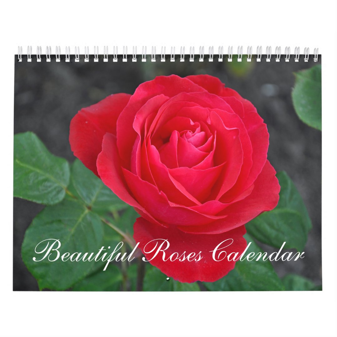 Beautiful roses calendar | Zazzle