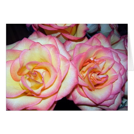 Beautiful Roses Cards (Front Horizontal)