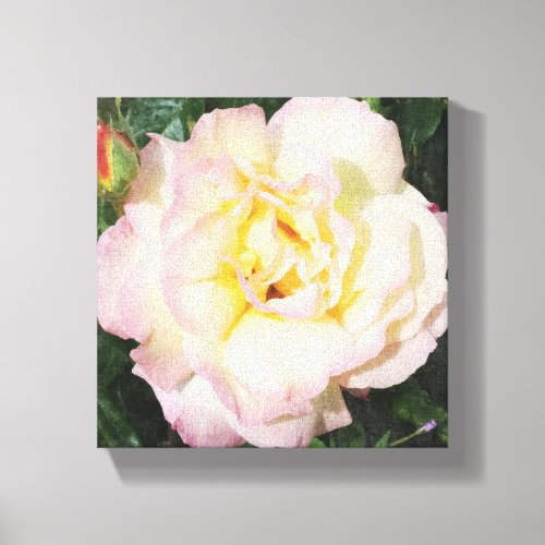 Beautiful Roses Flower Canvas Print