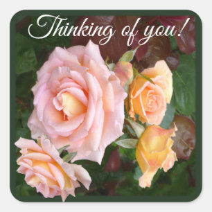 Beautiful Roses Square Sticker