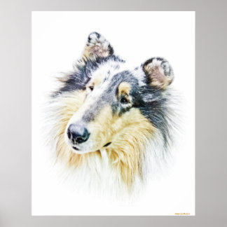 Rough Collie Posters, Rough Collie Prints, Art Prints, Poster Designs