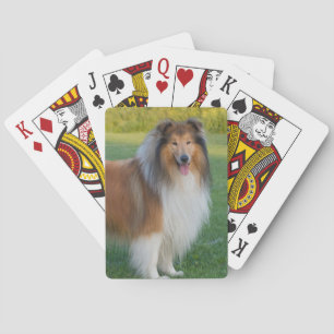 Beautiful Rough Collie Dog Poker Cards