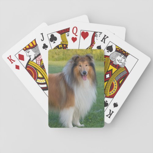 Beautiful Rough Collie Dog Poker Cards