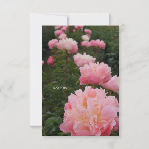 Beautiful Row of Pink Peonies Note Card