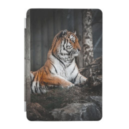 Beautiful Royal Bangol Tiger iPad 7.9&quot; Smart Cover