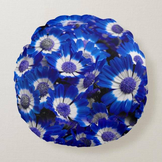 Beautiful Royal Blue Cineraria Flowers Round Pillow (Front)