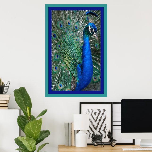 Beautiful Royal Peacock Photo Poster (Home Office)