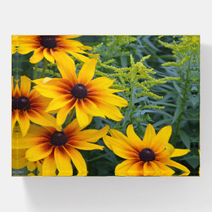 Beautiful rudbeckia flowers paperweight