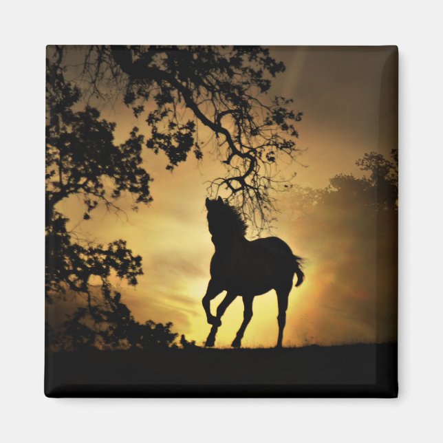 Beautiful Running Horse in the Sunset Magnet (Front)