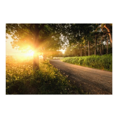 Beautiful rural land sunrise with trees in Norfolk Photo Print