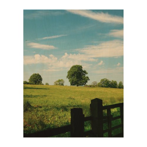 Beautiful rural landscape canvas print