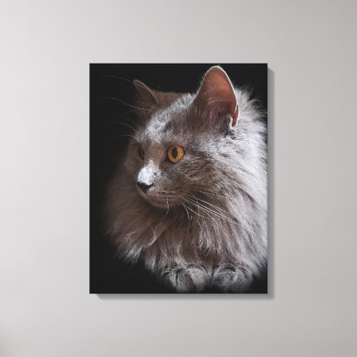 Beautiful Russian Blue Gray Cat Nebelung Canvas Print