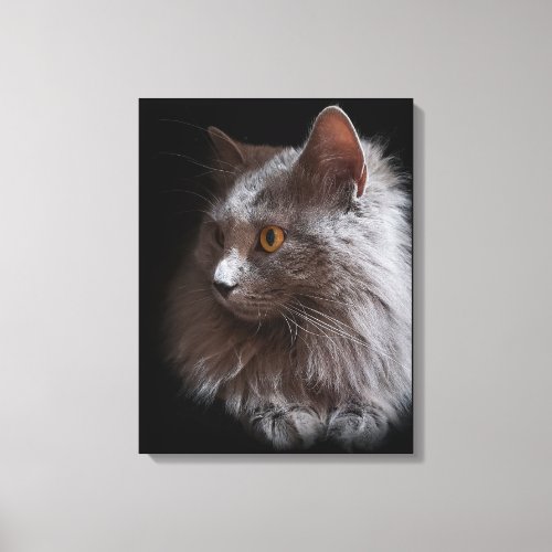 Beautiful Russian Blue Gray Cat Nebelung Canvas Print