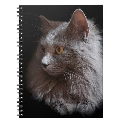 Beautiful Russian Blue Gray Cat Nebelung Notebook
