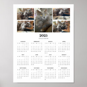 Beautiful Russian Blue Nebelung Cat 2025 Calendar  Poster