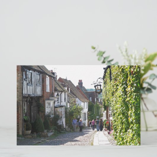 Beautiful Rye in England (Standing Front)