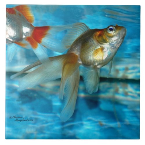 Beautiful ryukin goldfish Tile