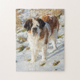 https://rlv.zcache.com/beautiful_saint_bernard_dog_jigsaw_puzzle-r4189a7b53bc64e9094c68b7b6e018dd6_ambn9_8byvr_307.jpg