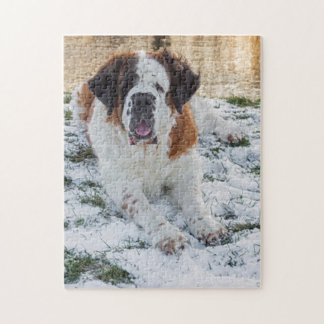 Beautiful  Saint Bernard dog Jigsaw Puzzle (Vertical)