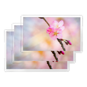 Beautiful Sakura Cherry Blossoms Acrylic Tray