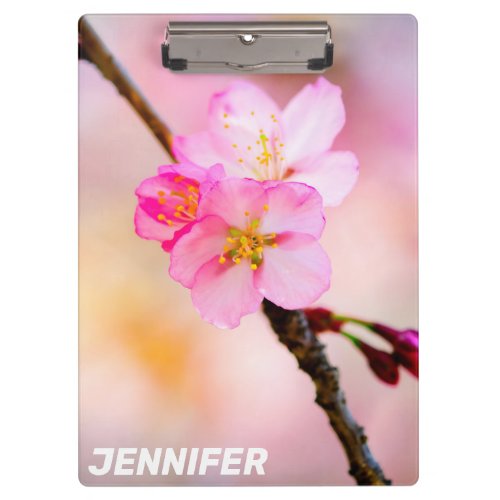 Beautiful Sakura Cherry Blossoms Clipboard
