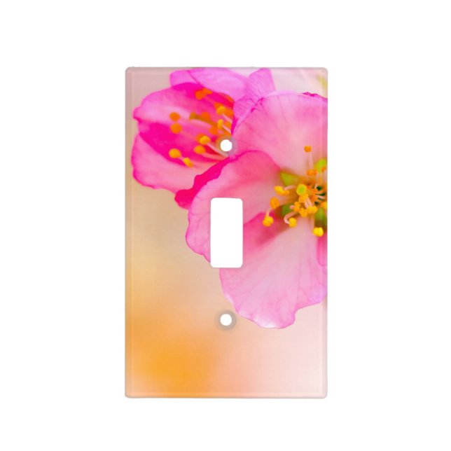 Beautiful Sakura Cherry Blossoms Light Switch Cover (Front)