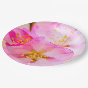 Beautiful Sakura Cherry Blossoms Paper Plates