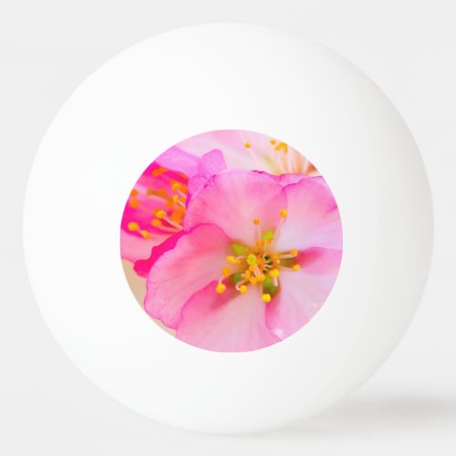 Beautiful Sakura Cherry Blossoms Ping Pong Ball