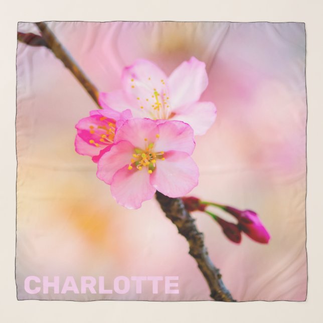 Beautiful Sakura Cherry Blossoms Scarf (Front)
