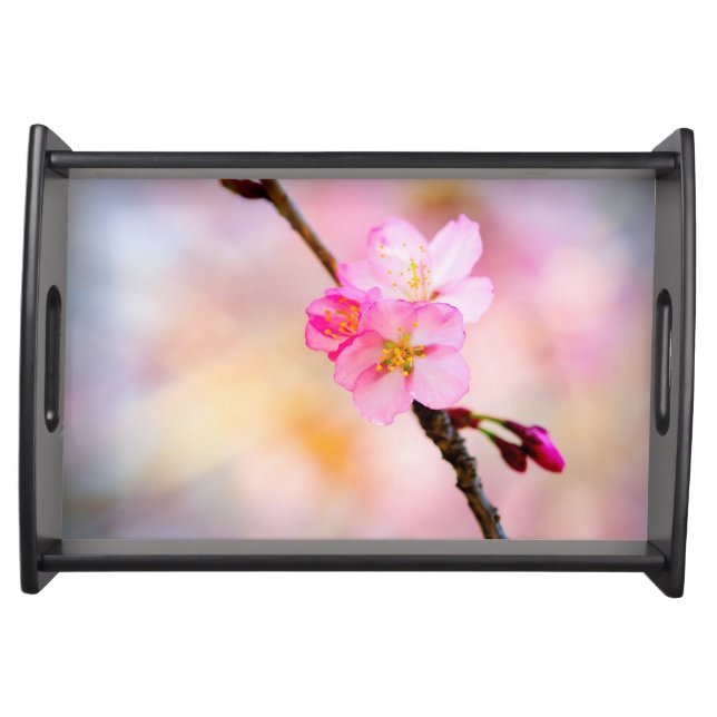 Beautiful Sakura Cherry Blossoms Serving Tray (Front)