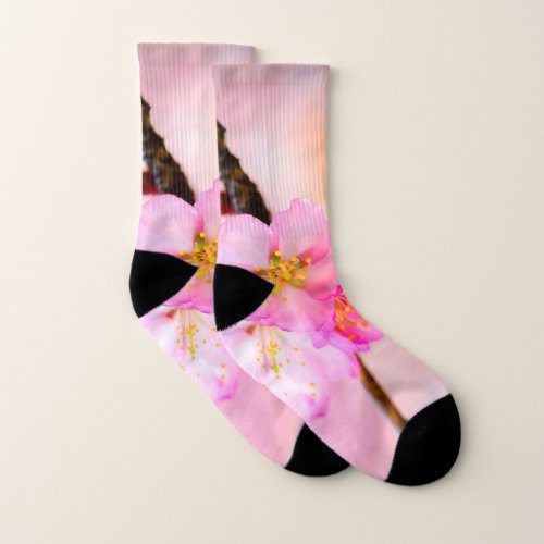 Beautiful Sakura Cherry Blossoms Socks