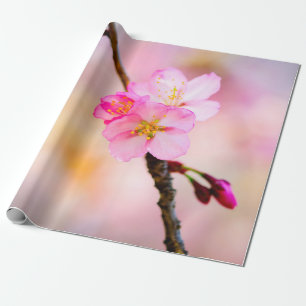 Beautiful Sakura Cherry Blossoms Wrapping Paper
