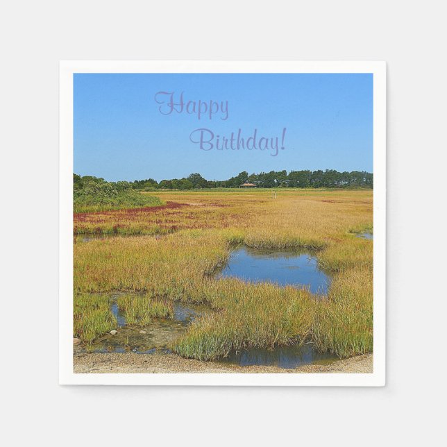 Beautiful Salt Water Marsh Paper Napkins (Front)