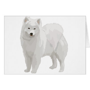 Beautiful Samoyed Cards