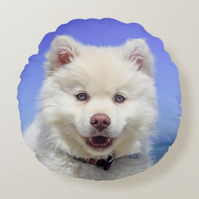 Beautiful Samoyed Dog Round Pillow (Front)