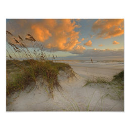 Beautiful Sand Dunes in Daytona Beach, FL Photo Print