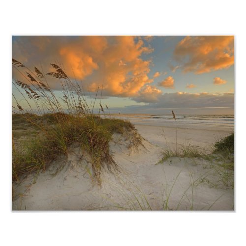 Beautiful Sand Dunes in Daytona Beach FL Photo Print