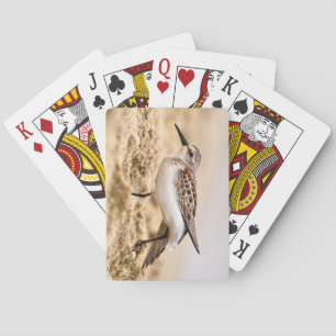 Beautiful Sandpiper Bird in the Sand Poker Cards