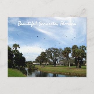 Beautiful Sarasota, Florida Postcard