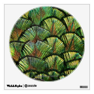 Beautiful Scalloped Peacock Feathers Wall Decal