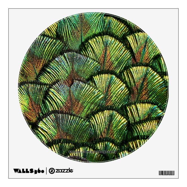 Beautiful Scalloped Peacock Feathers Wall Decal (Front)
