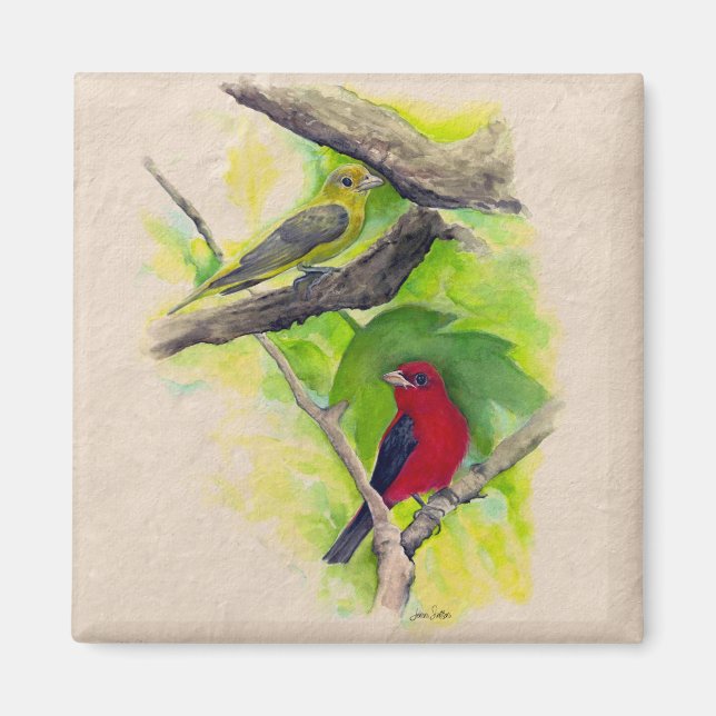 Beautiful Scarlet Tanagers Birds Painting Magnet (Front)