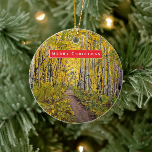 Beautiful Scenic Aspen Tree Grove Ceramic Ornament