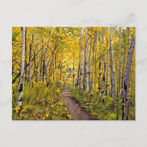 Beautiful Scenic Autumn Trail in Aspen Tree Grove Postcard