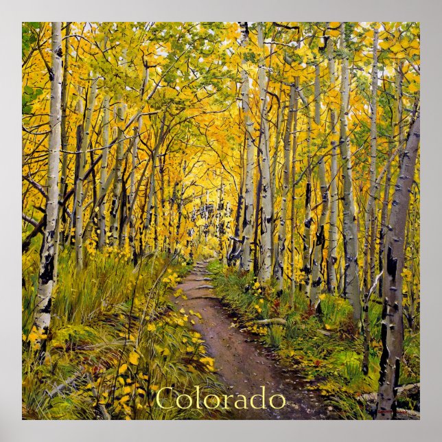 Beautiful Scenic Autumn Trail in Aspen Tree Grove Poster (Front)