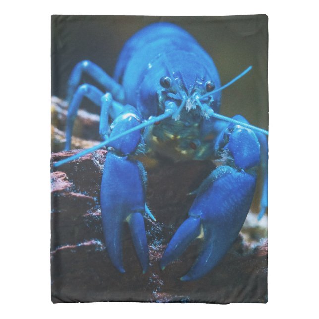 Beautiful Sea Life Duvet Cover (Back)