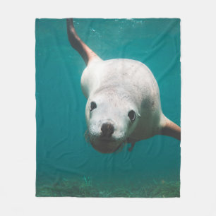 Beautiful Sea Lion Fleece Blanket